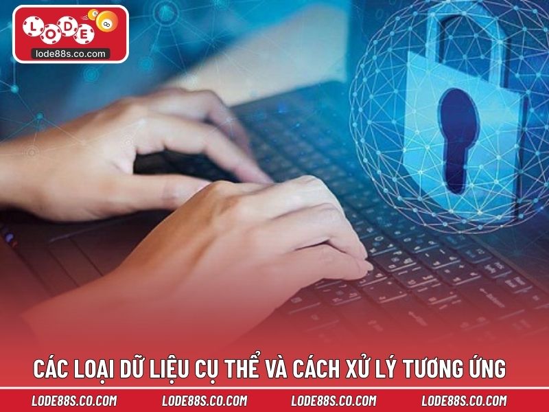 Các loại dữ liệu cụ thể và cách xử lý tương ứng