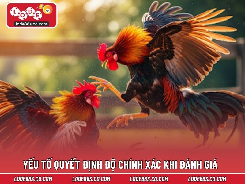 Yếu tố quyết định độ chính xác khi đánh giá