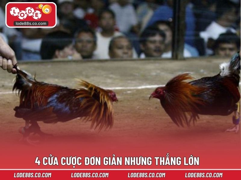 4 cửa cược đơn giản nhưng thắng lớn